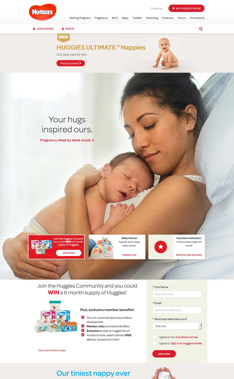 Huggies desktop layout