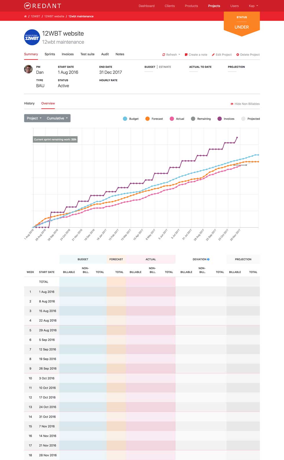 Introducing Projectt: The Ultimate Budget Management Tool for Large-Scale Development Projects desktop layout